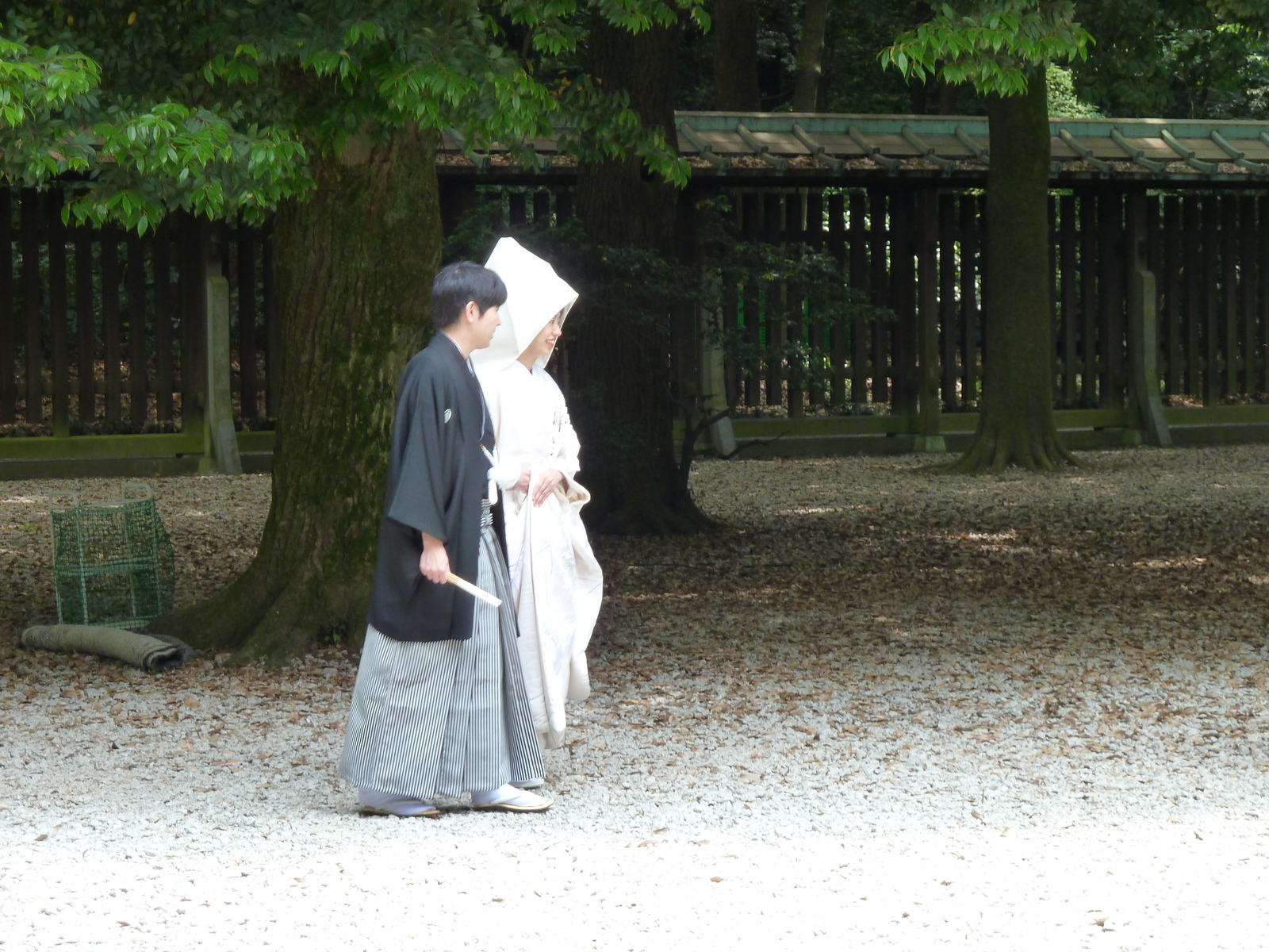 Photo Japon Tokyo Parc Yoyogi 2010-06 39