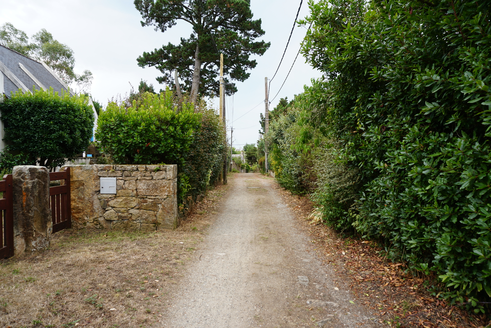 Photo France Île-aux-Moines 2016-08 109