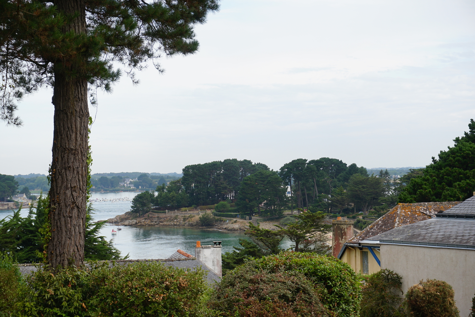 Photo France Île-aux-Moines 2016-08 98
