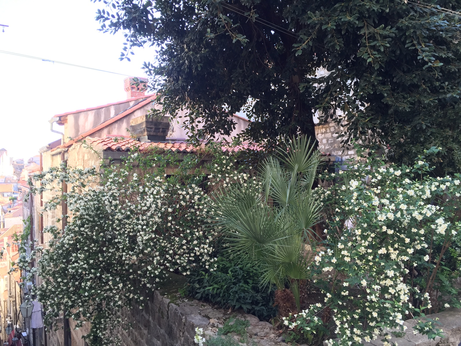 Photo Croatie Dubrovnik 2016-04 176