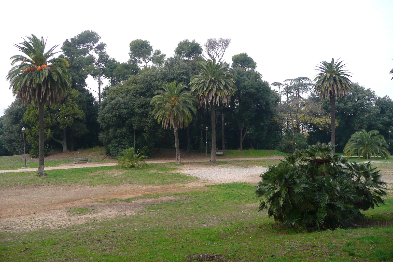 Photo Italie Rome Villa Doria Pamphili 2007-11 8