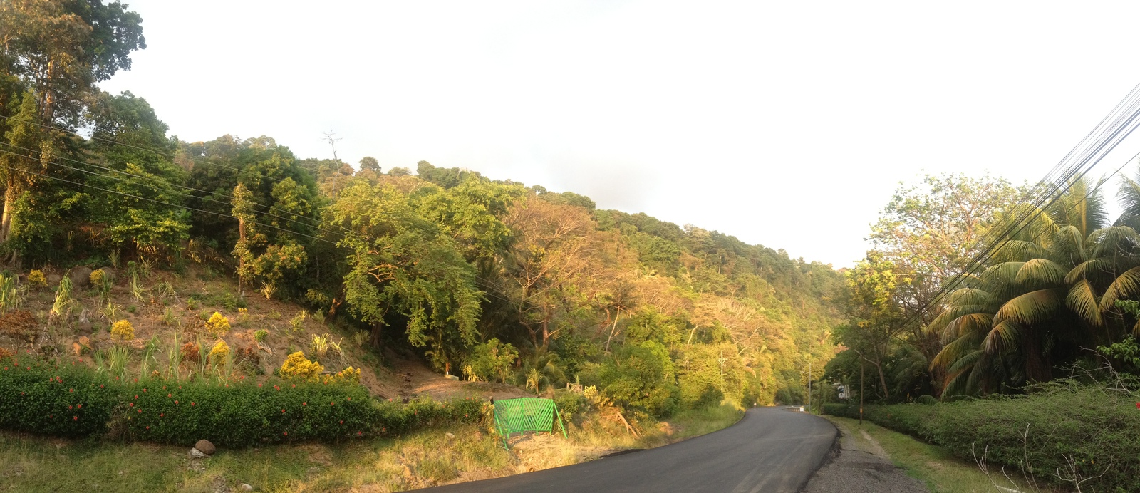 Photo Costa Rica Dominical 2015-03 137