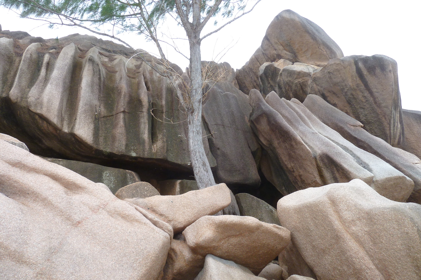 Photo Seychelles La Digue 2011-10 105