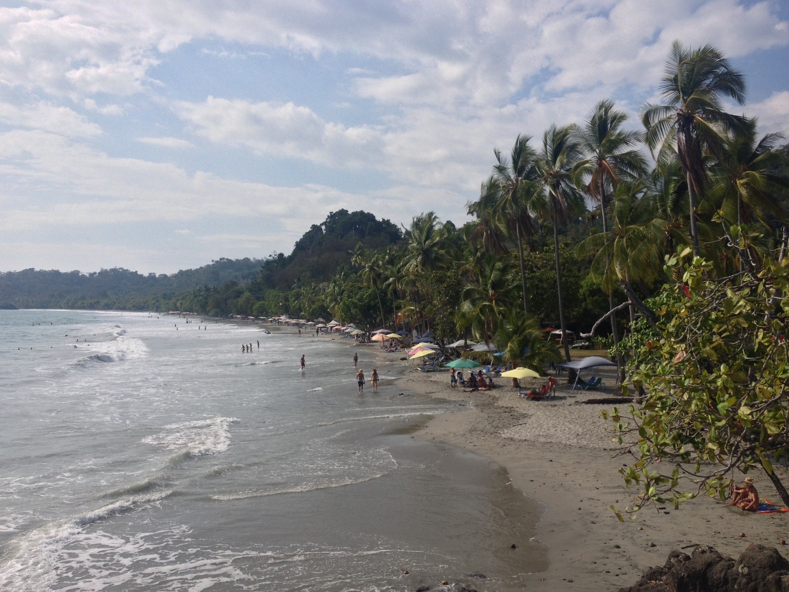Photo Costa Rica Parc Manuel Antonio 2015-03 348