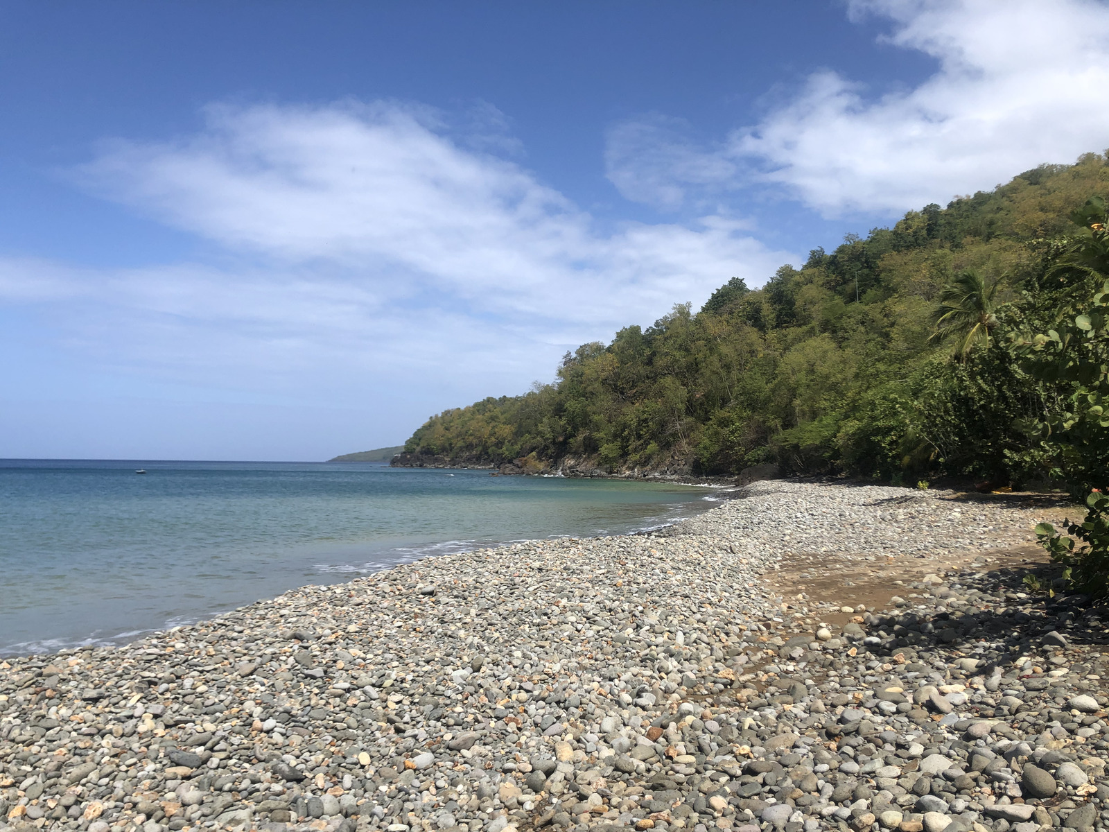 Photo Guadeloupe Pointe noire 2021-02 9