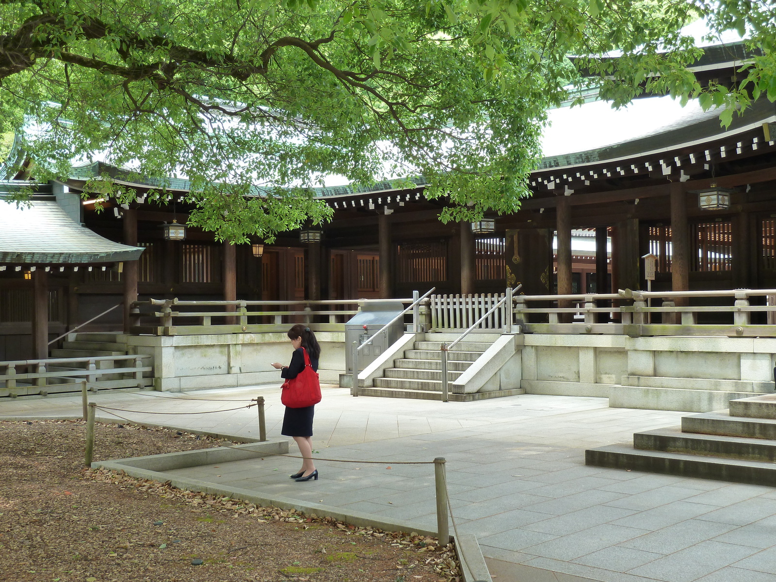 Photo Japon Tokyo Parc Yoyogi 2010-06 34