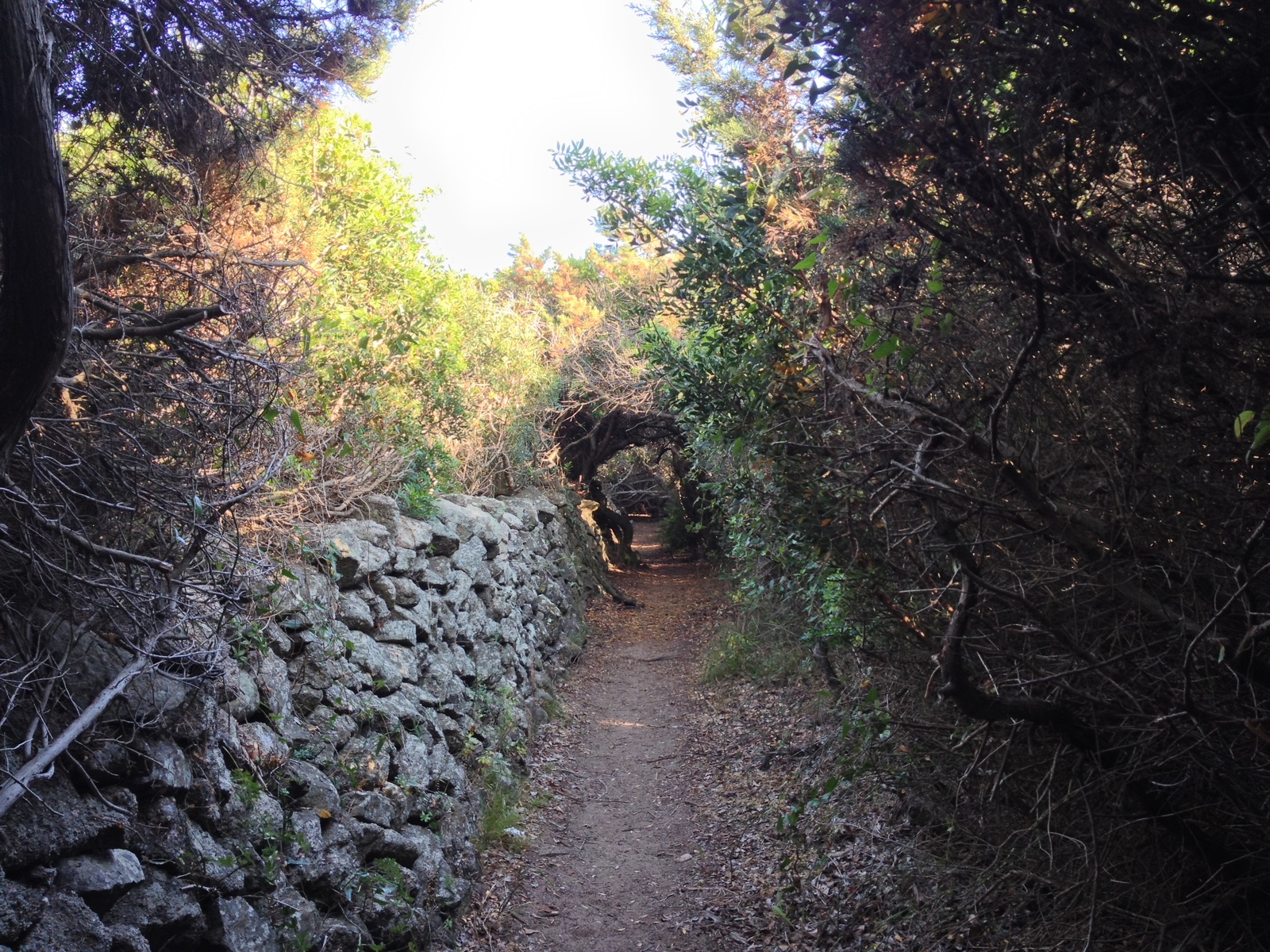 Photo Italie Sardaigne Portobello di Gallura 2015-06 11