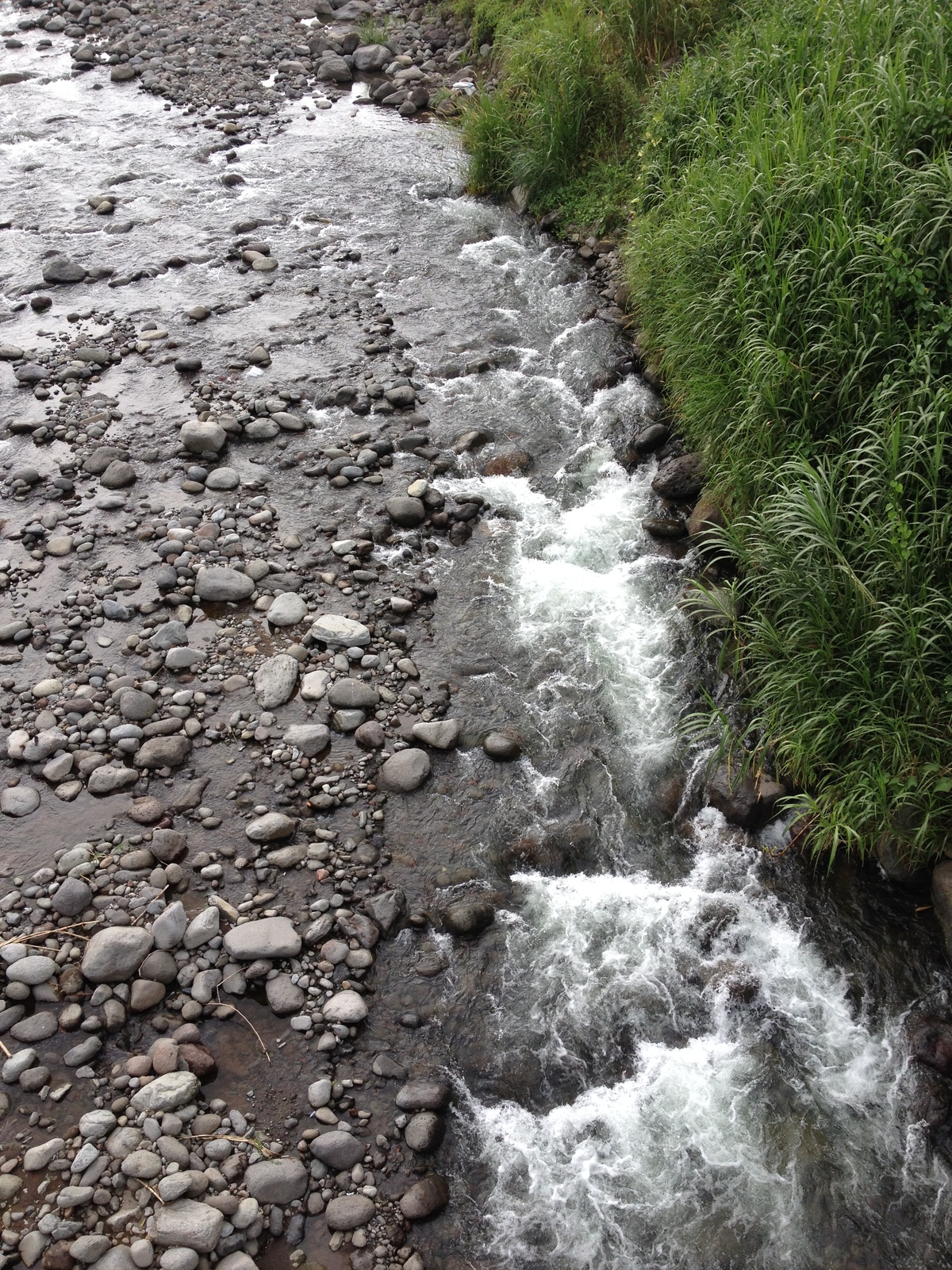 Photo Costa Rica Turrialba 2015-03 33