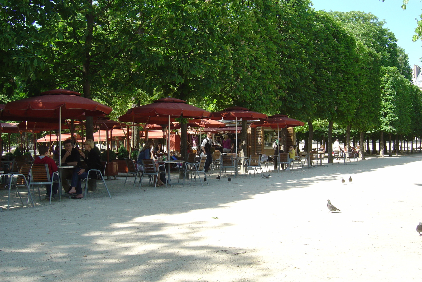 Photo France Paris Jardin des Tuileries 2007-05 73