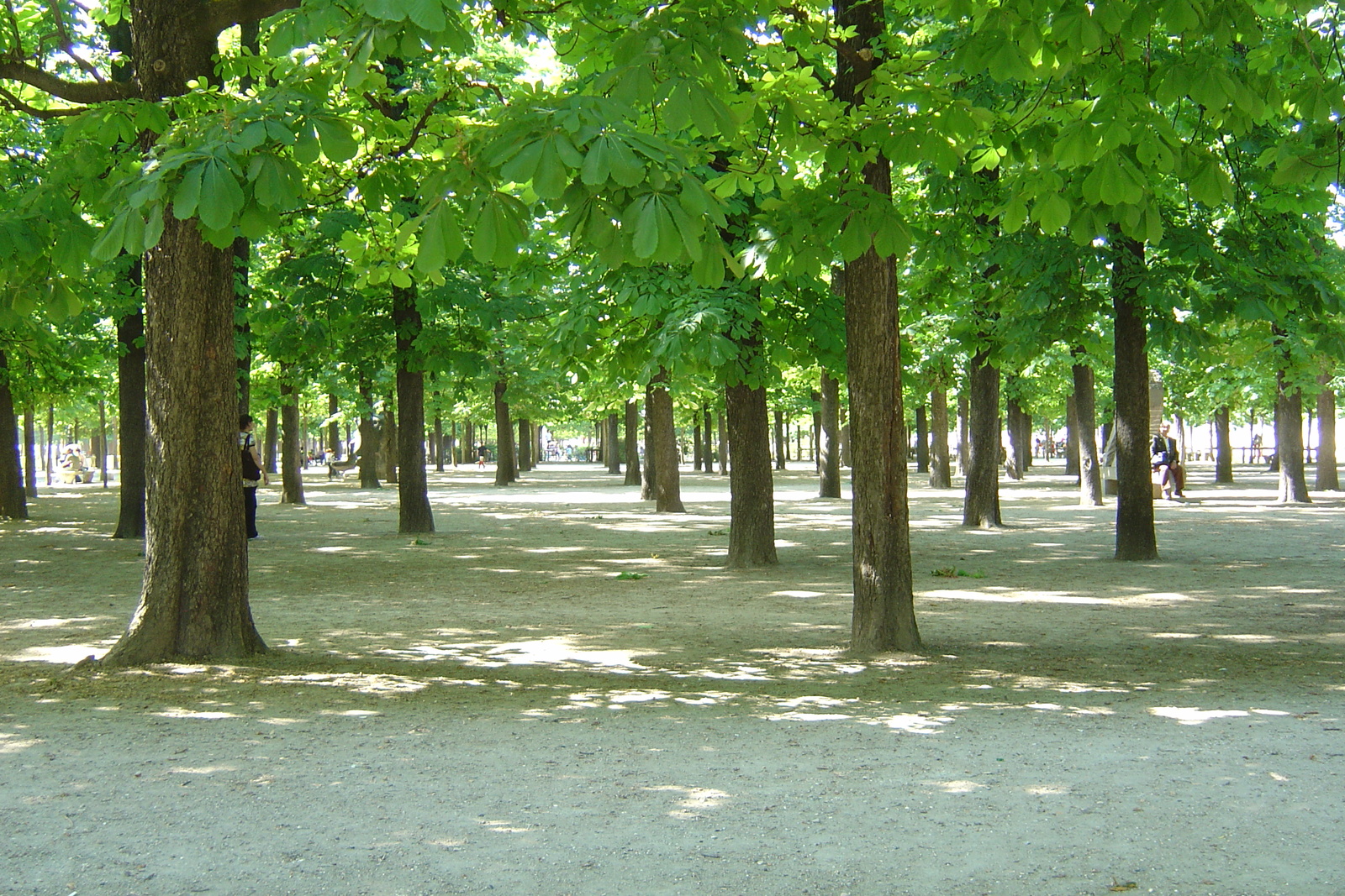 Photo France Paris Jardin des Tuileries 2007-05 383
