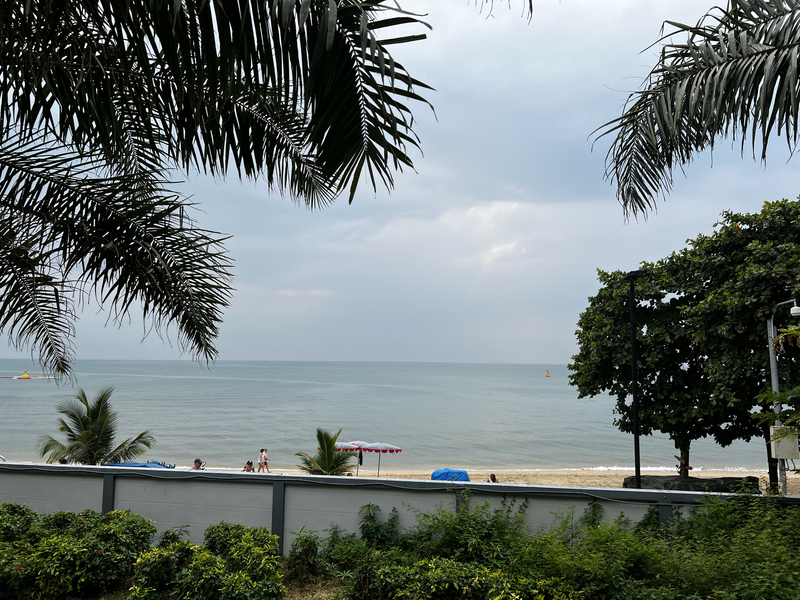 Photo Thaïlande Pattaya 2023-01 94