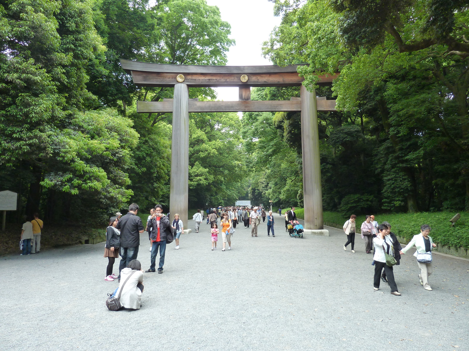 Photo Japon Tokyo Parc Yoyogi 2010-06 14