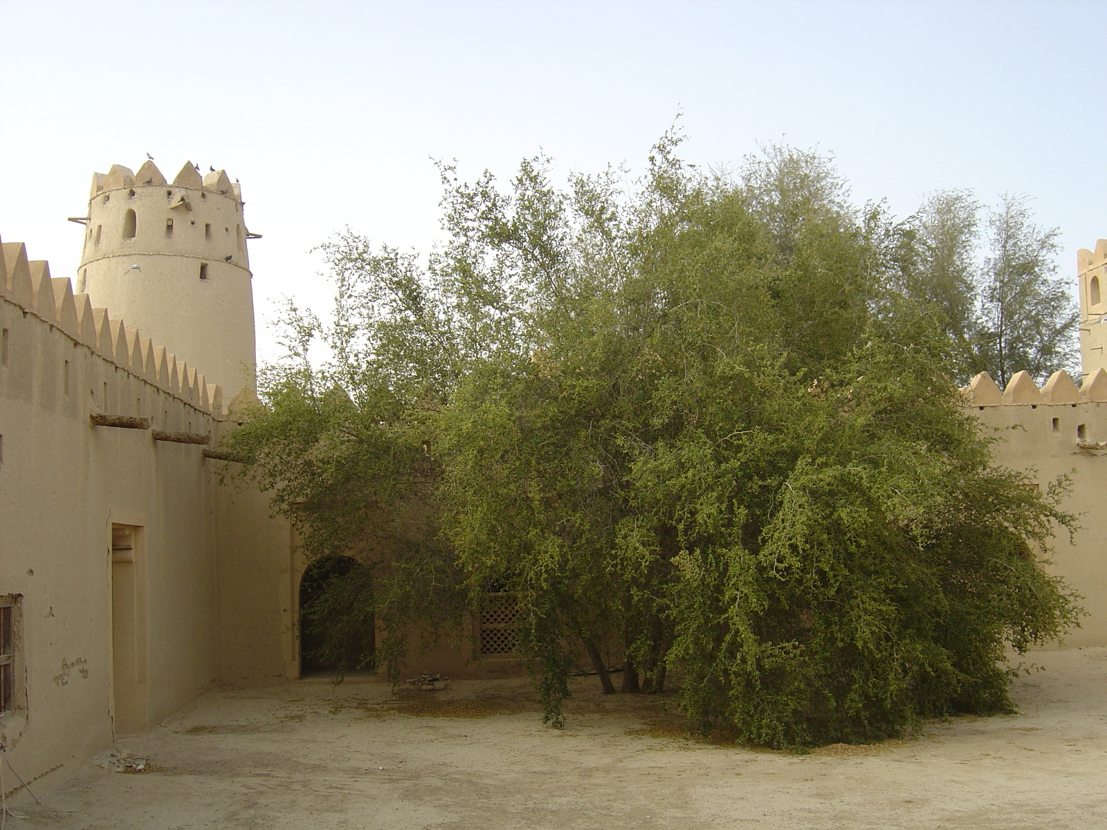 Photo Émirats arabes unis Al Ain Fort de Jahli 2005-03 7