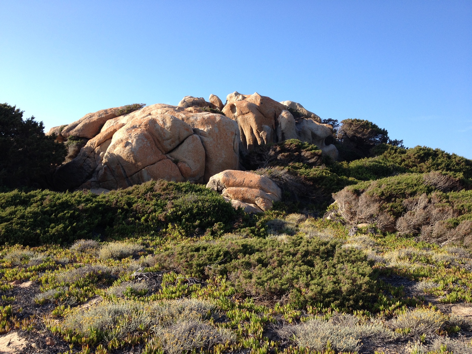 Photo Italie Sardaigne Portobello di Gallura 2015-06 10