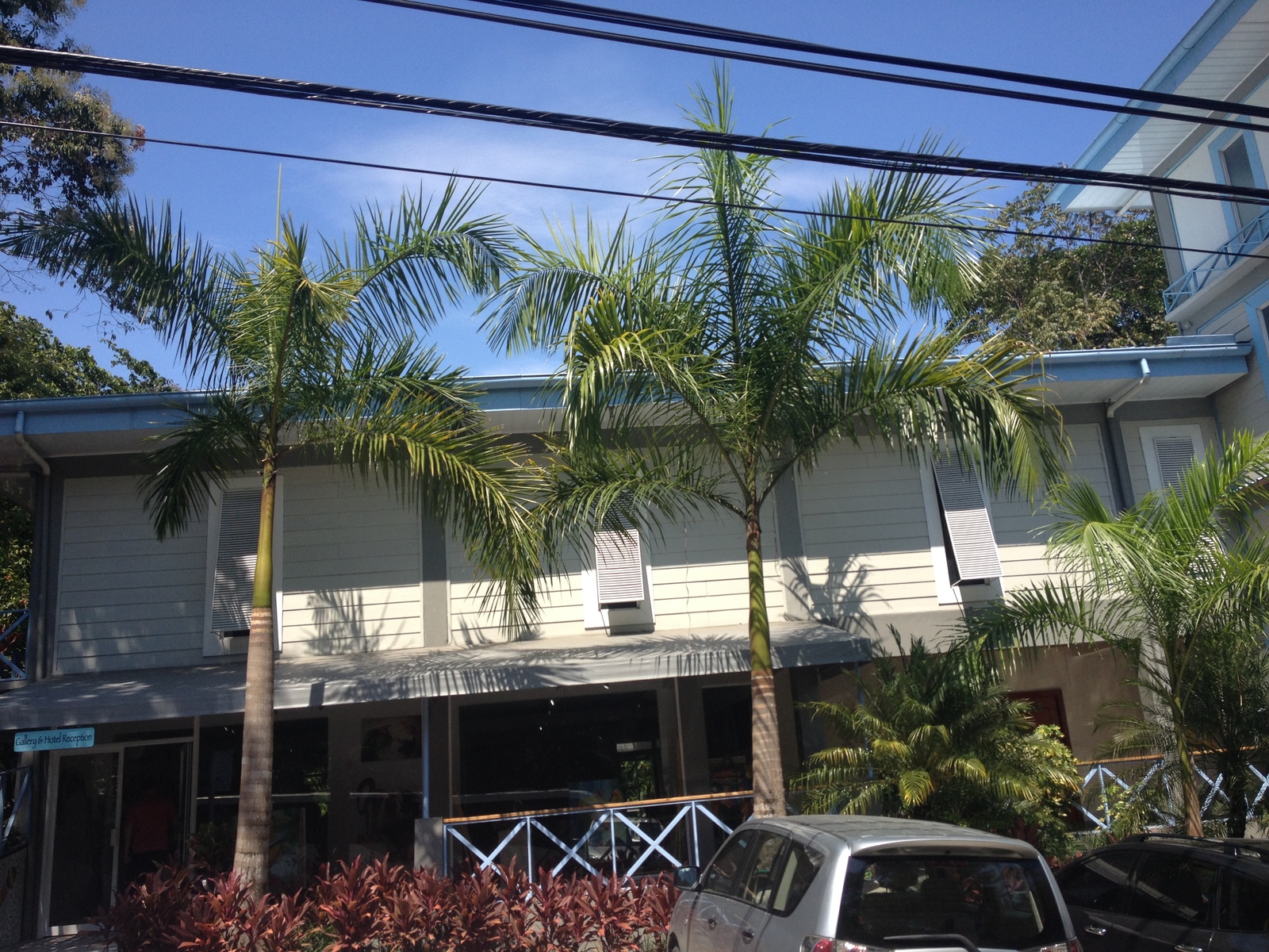 Photo Costa Rica Parc Manuel Antonio 2015-03 113