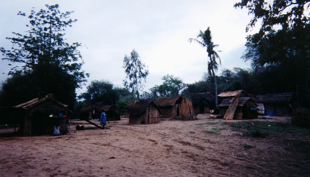 Photo Madagascar Tsingy 1999-10 14