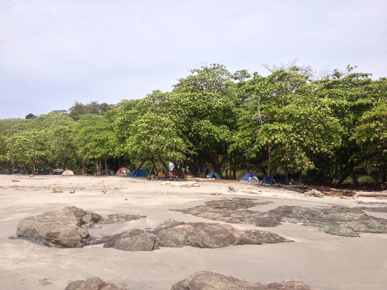 Photo Costa Rica Montezuma 2015-03 593