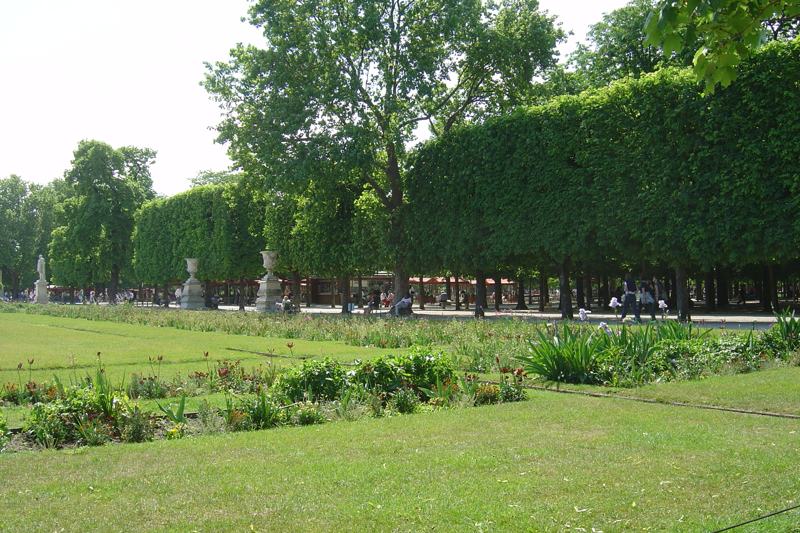Photo France Paris Jardin des Tuileries 2007-05 324