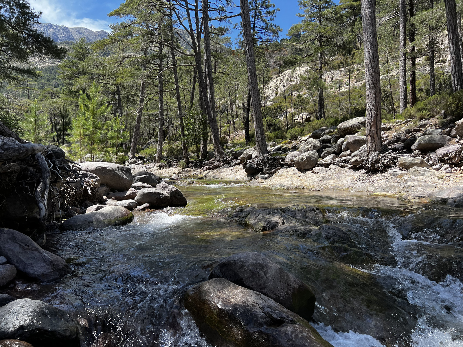 Photo France Corse Asco 2023-06 14