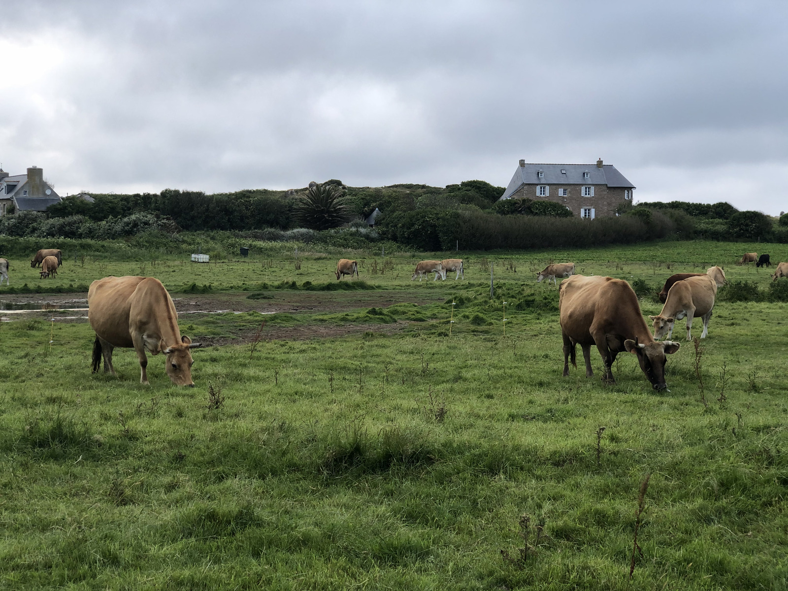 Photo France Île de Bréhat 2020-06 247