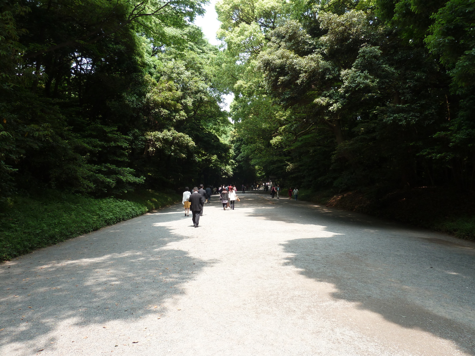 Photo Japon Tokyo Parc Yoyogi 2010-06 15