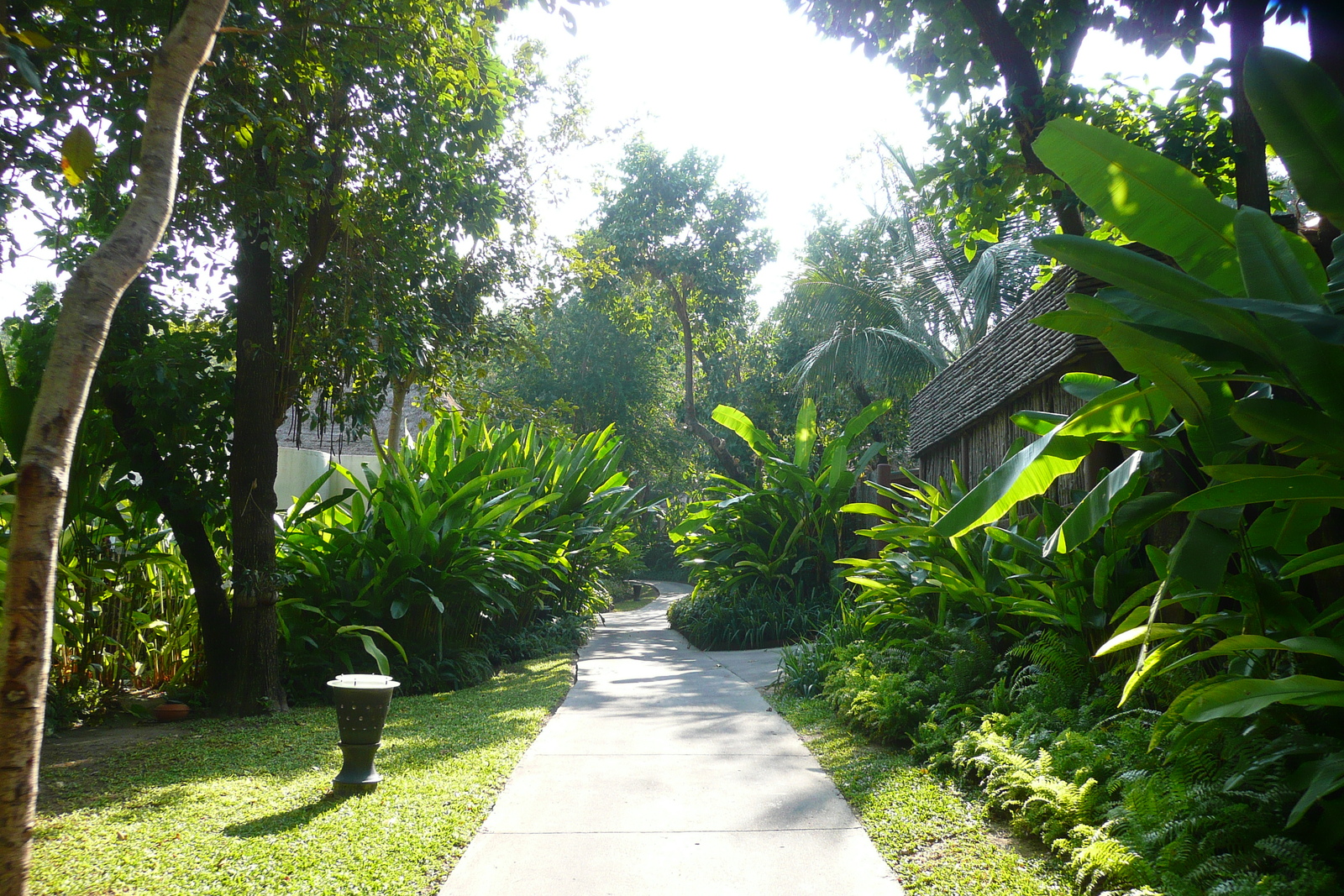 Photo Thaïlande Ko Samet Le Vimarn Cottage and Spa 2009-01 7