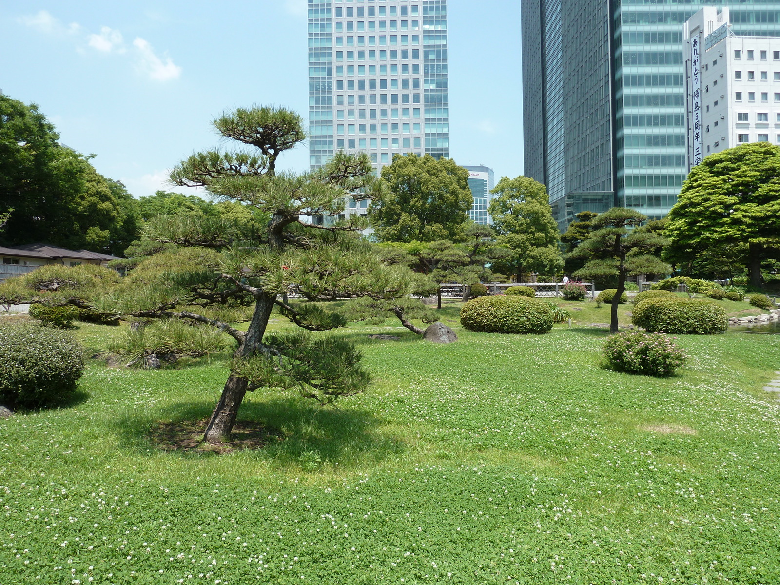 Photo Japon Tokyo Jardins Kyu Shiba rikyu 2010-06 18