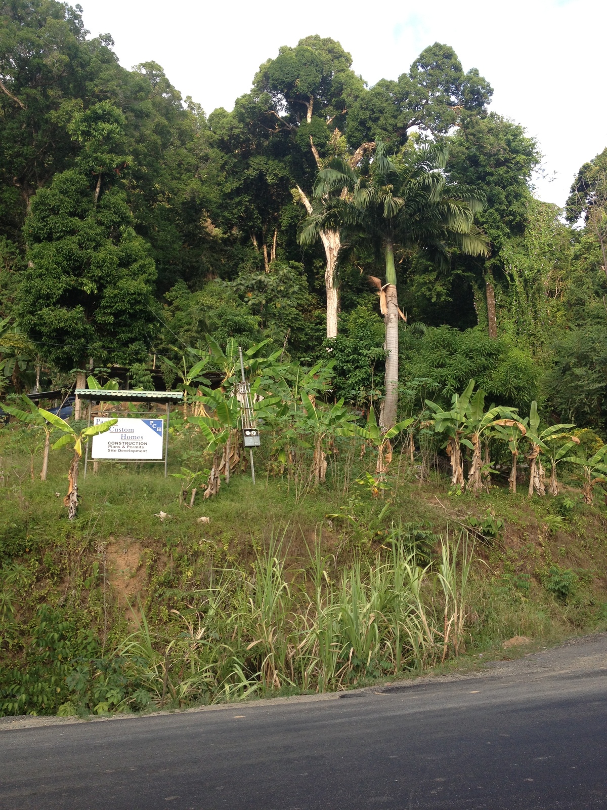Photo Costa Rica Dominical 2015-03 122