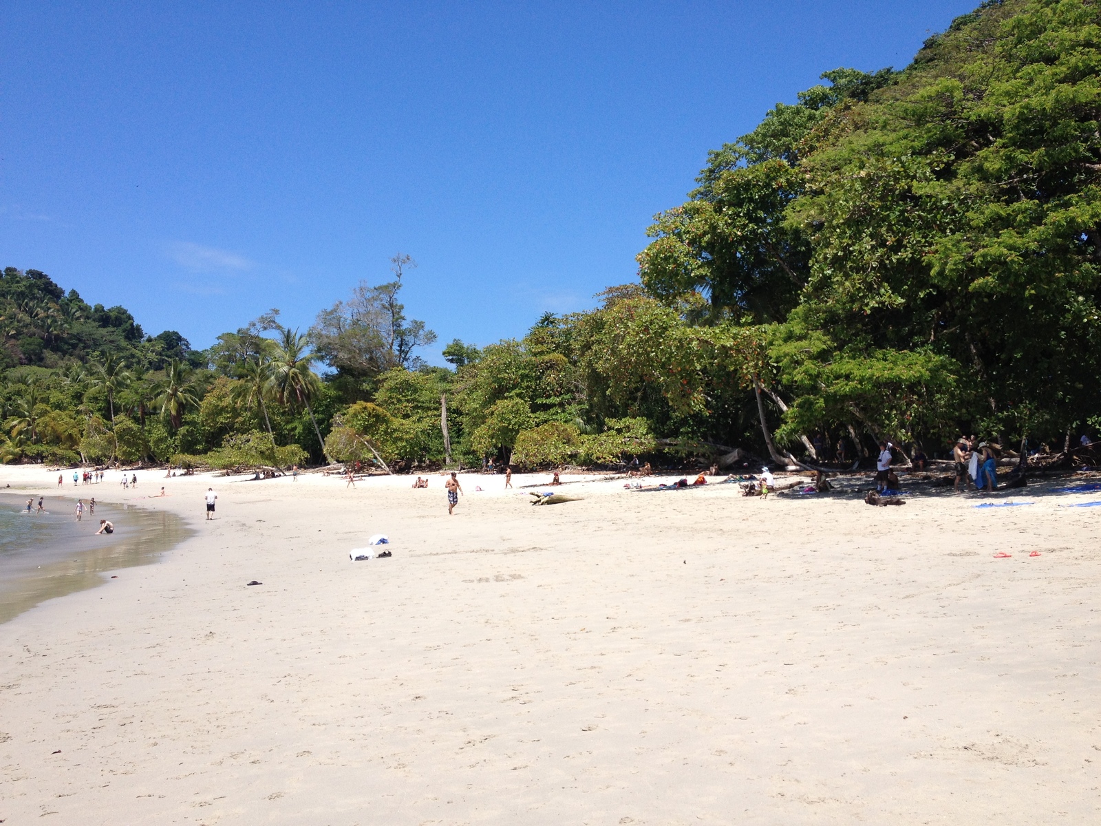 Photo Costa Rica Parc Manuel Antonio 2015-03 265