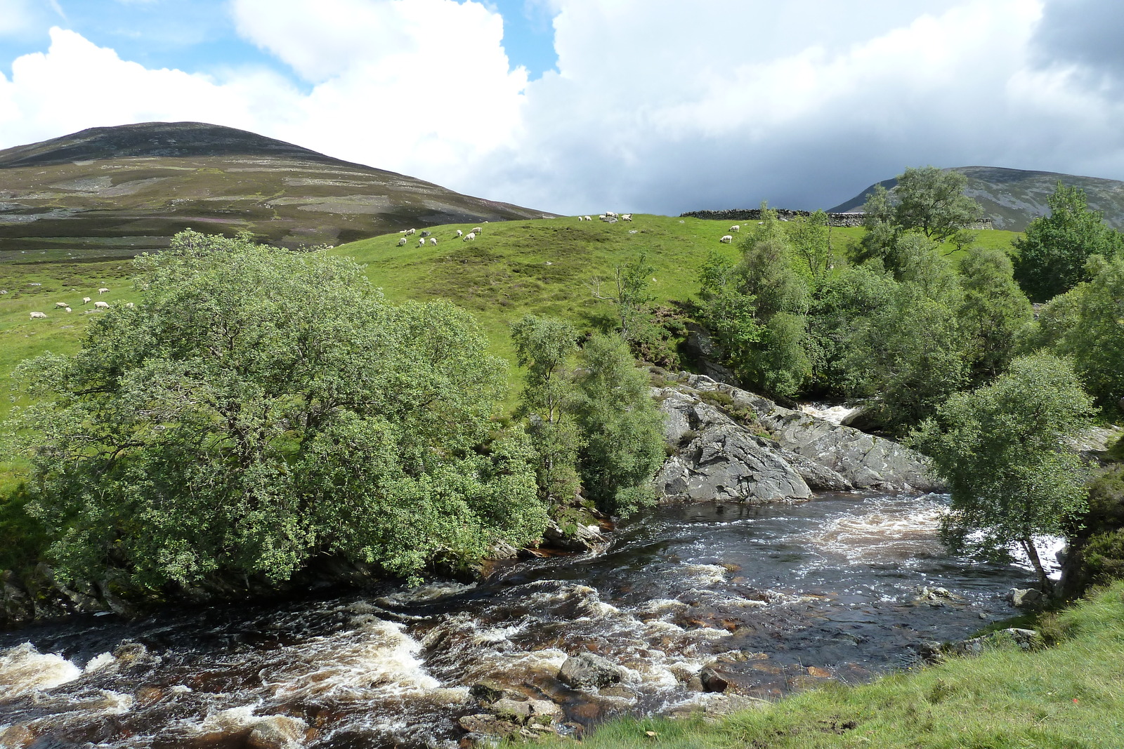 Photo Royaume-Uni Les Cairngorms 2011-07 103
