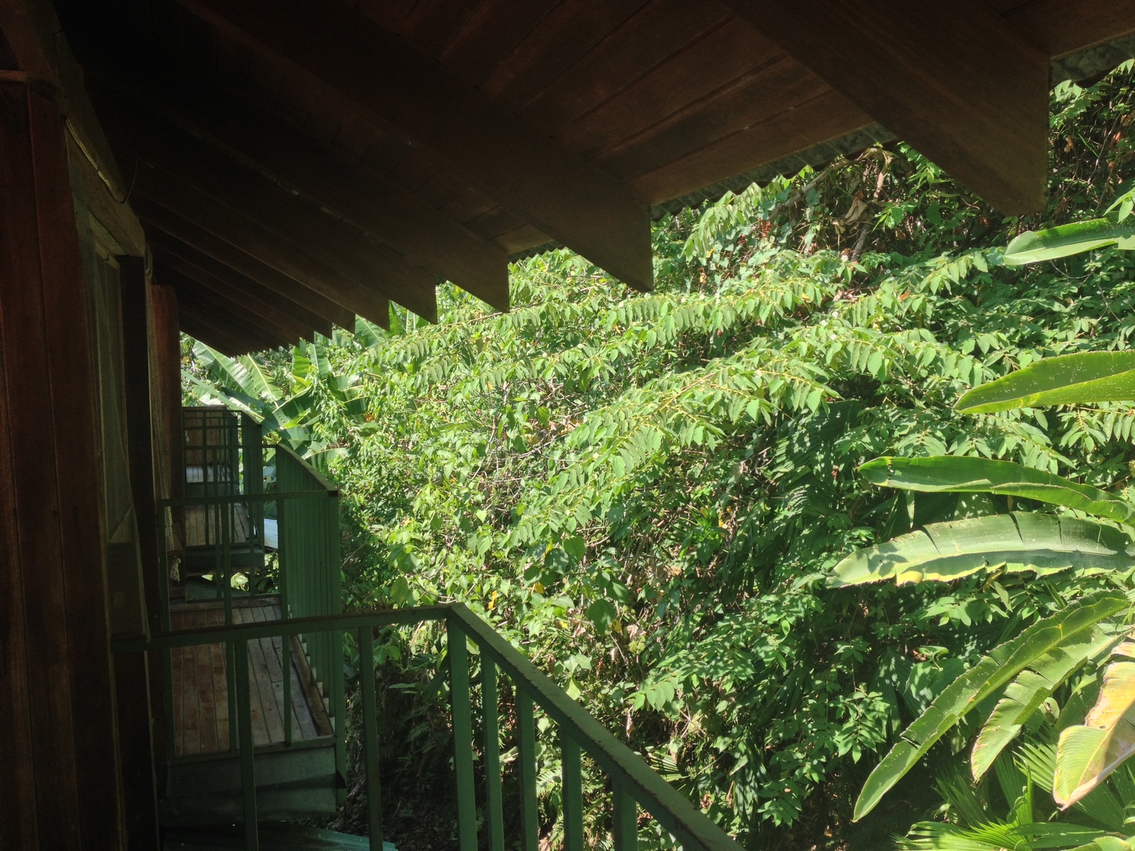 Photo Costa Rica Parc Manuel Antonio 2015-03 469