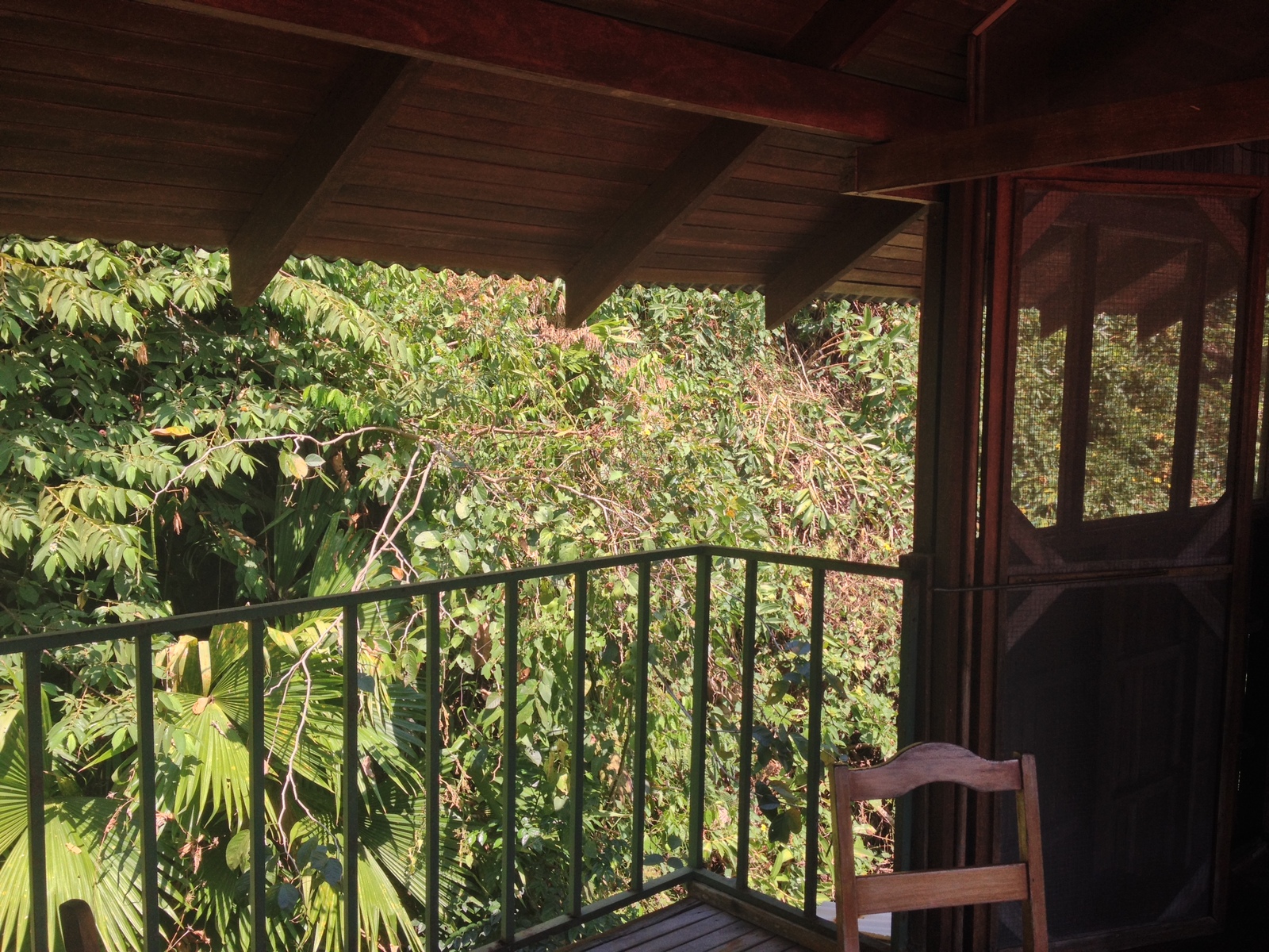 Photo Costa Rica Parc Manuel Antonio 2015-03 528