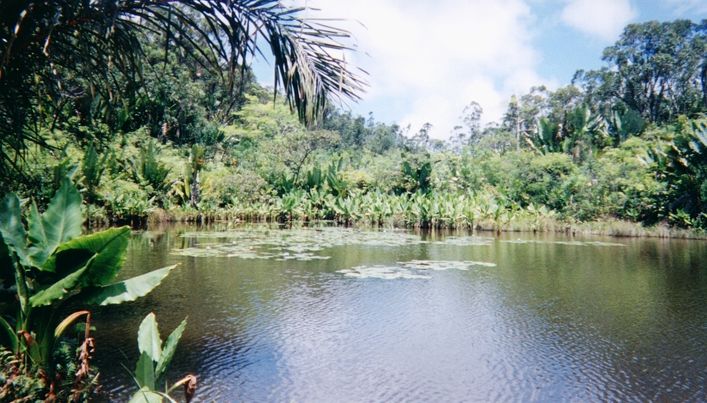 Photo Madagascar 1999-10 31