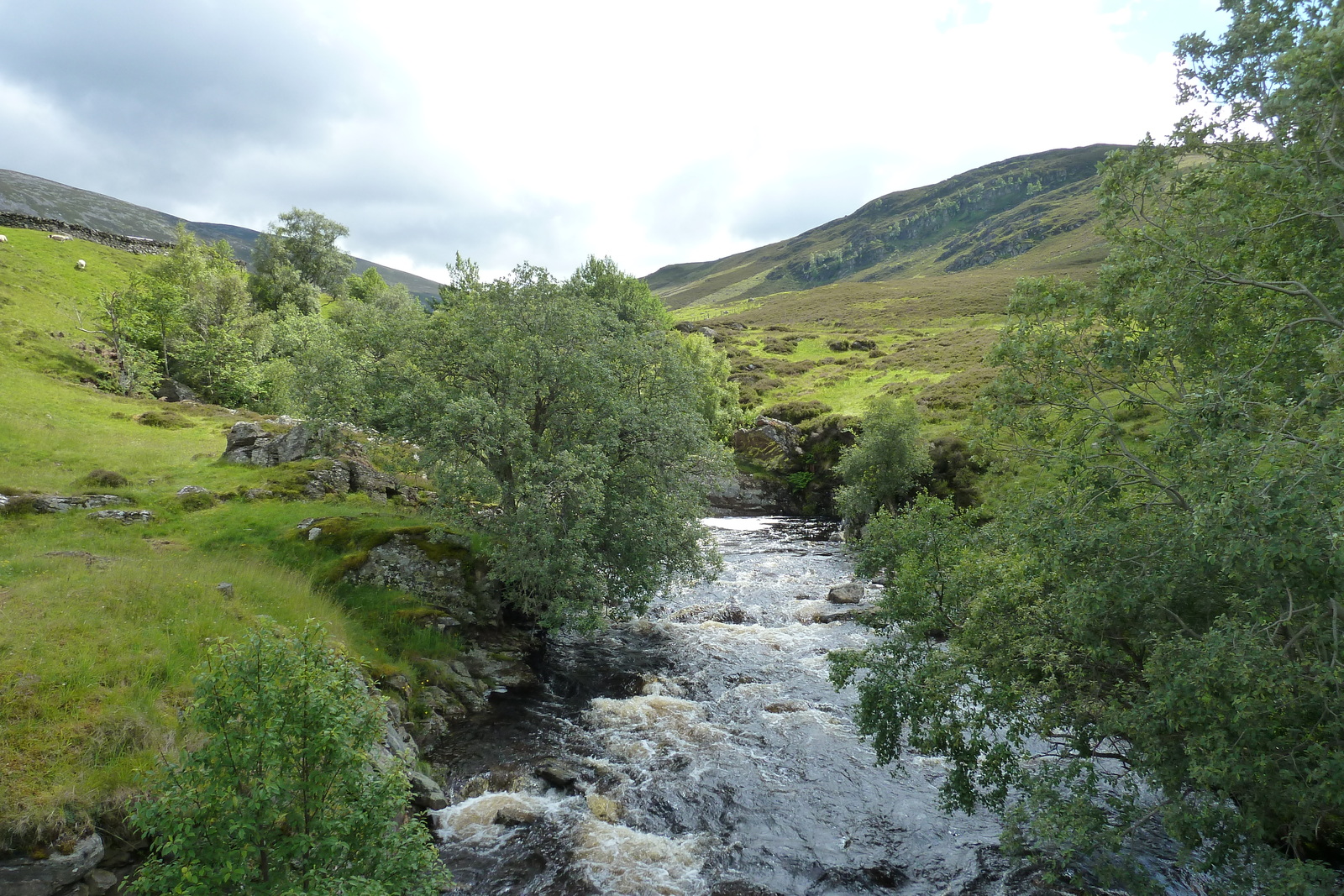 Photo Royaume-Uni Les Cairngorms 2011-07 111