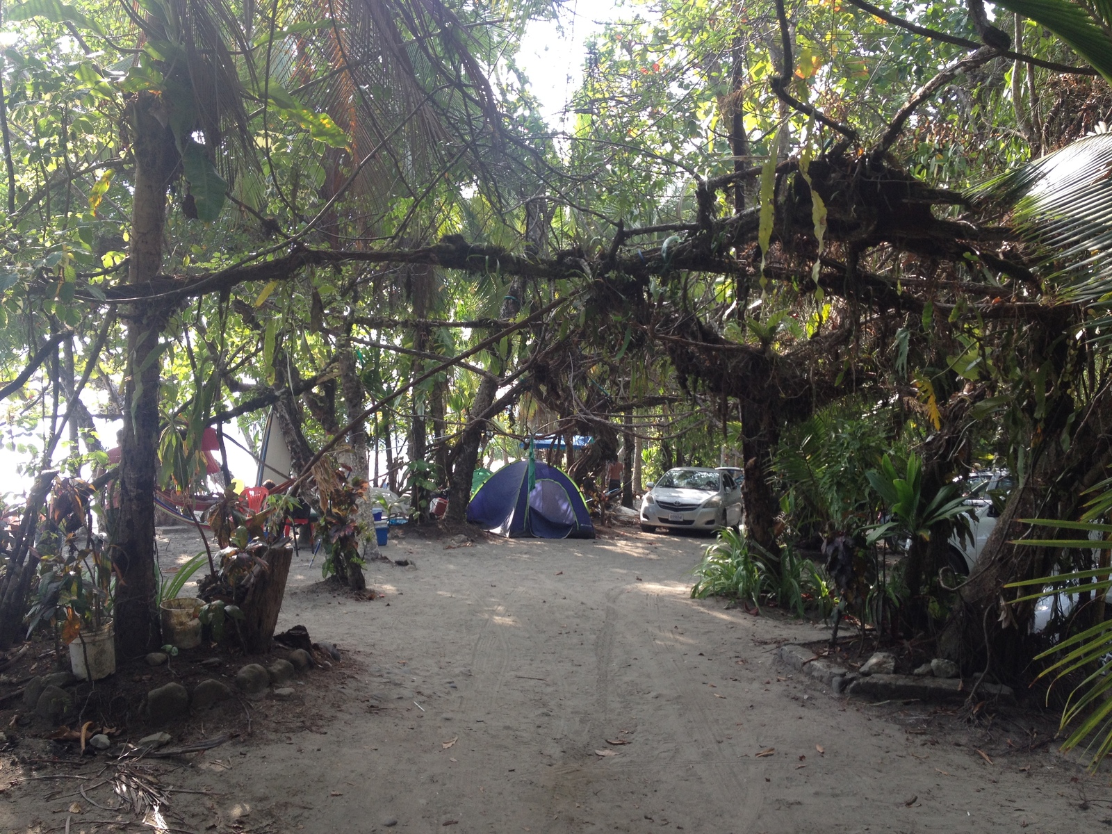 Photo Costa Rica Parc Manuel Antonio 2015-03 244