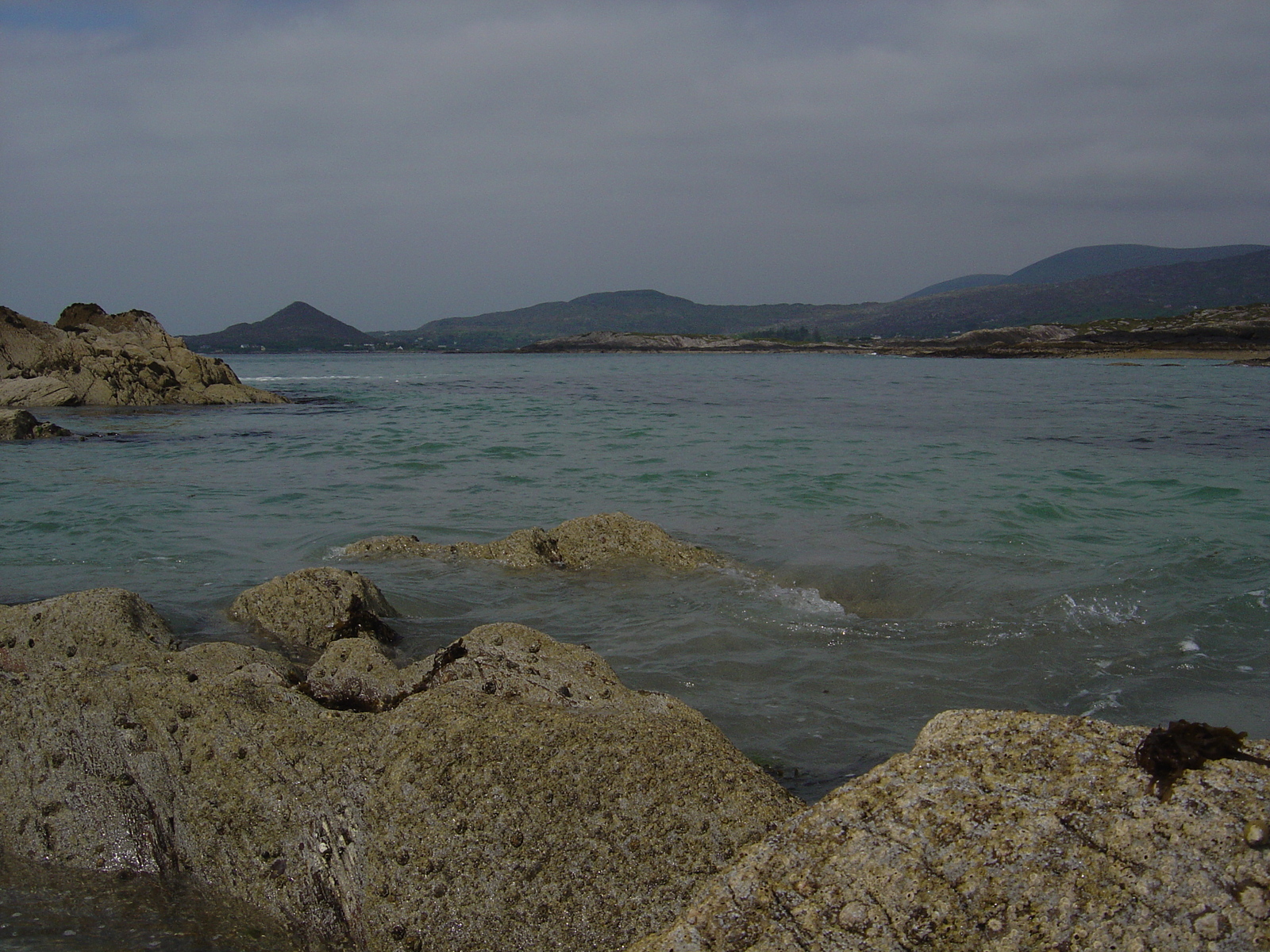 Photo Irlande Kerry Parknasilla 2004-05 9