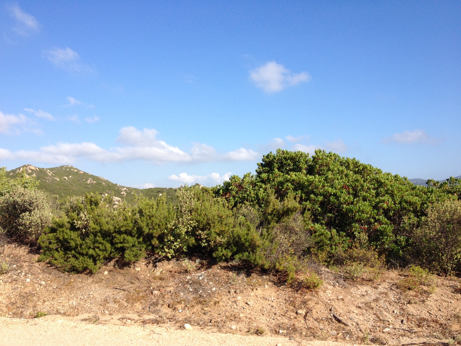 Photo Italie Sardaigne Costa Paradiso 2015-06 6