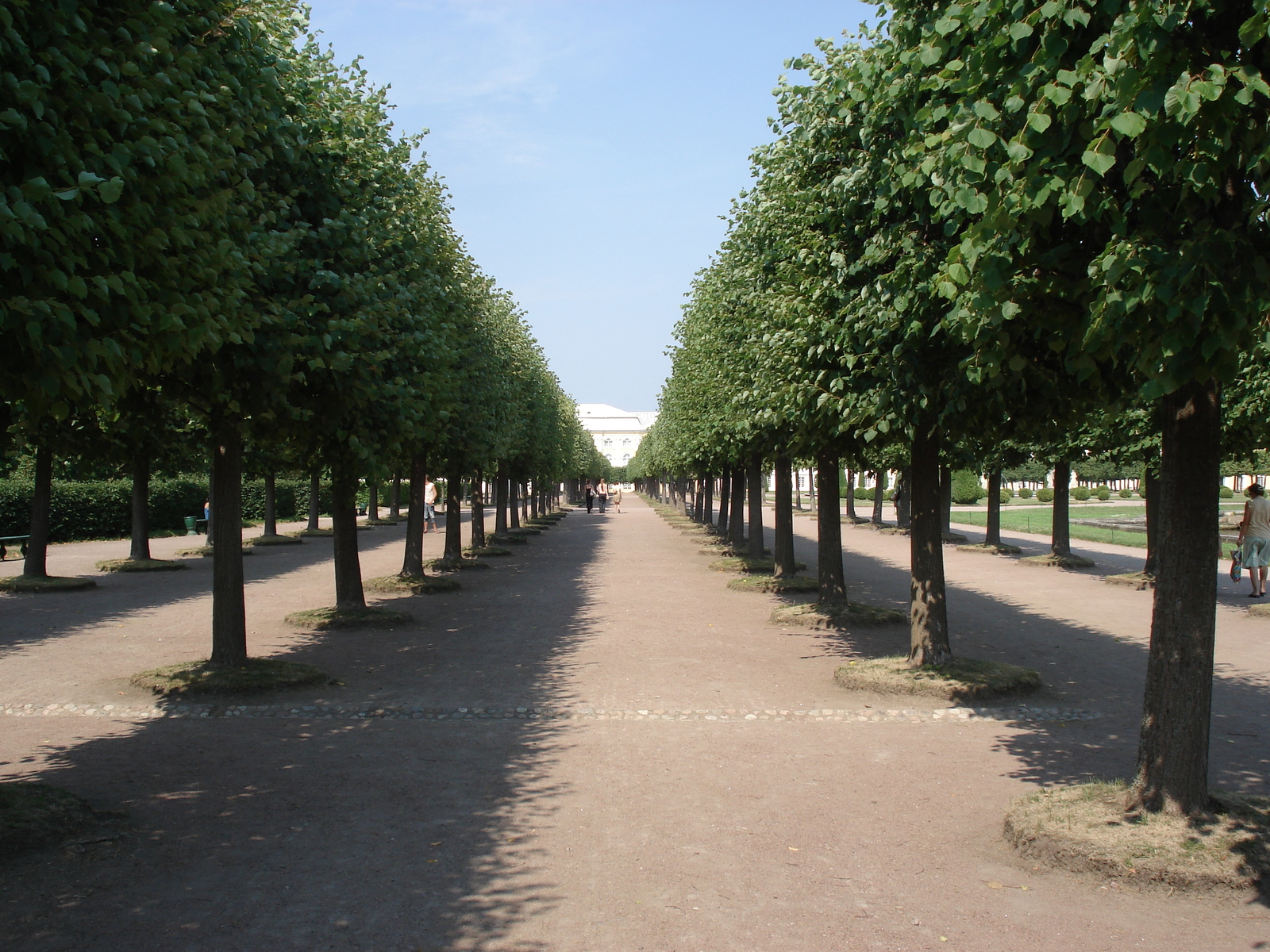 Photo Russie Petrodvorets 2006-07 38