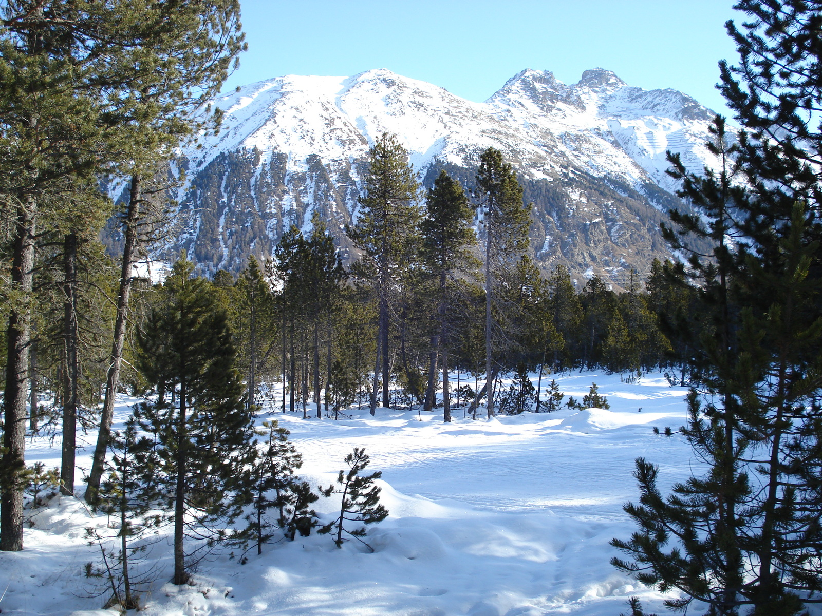 Photo Suisse Saint Moritz Schlarigna 2007-01 12