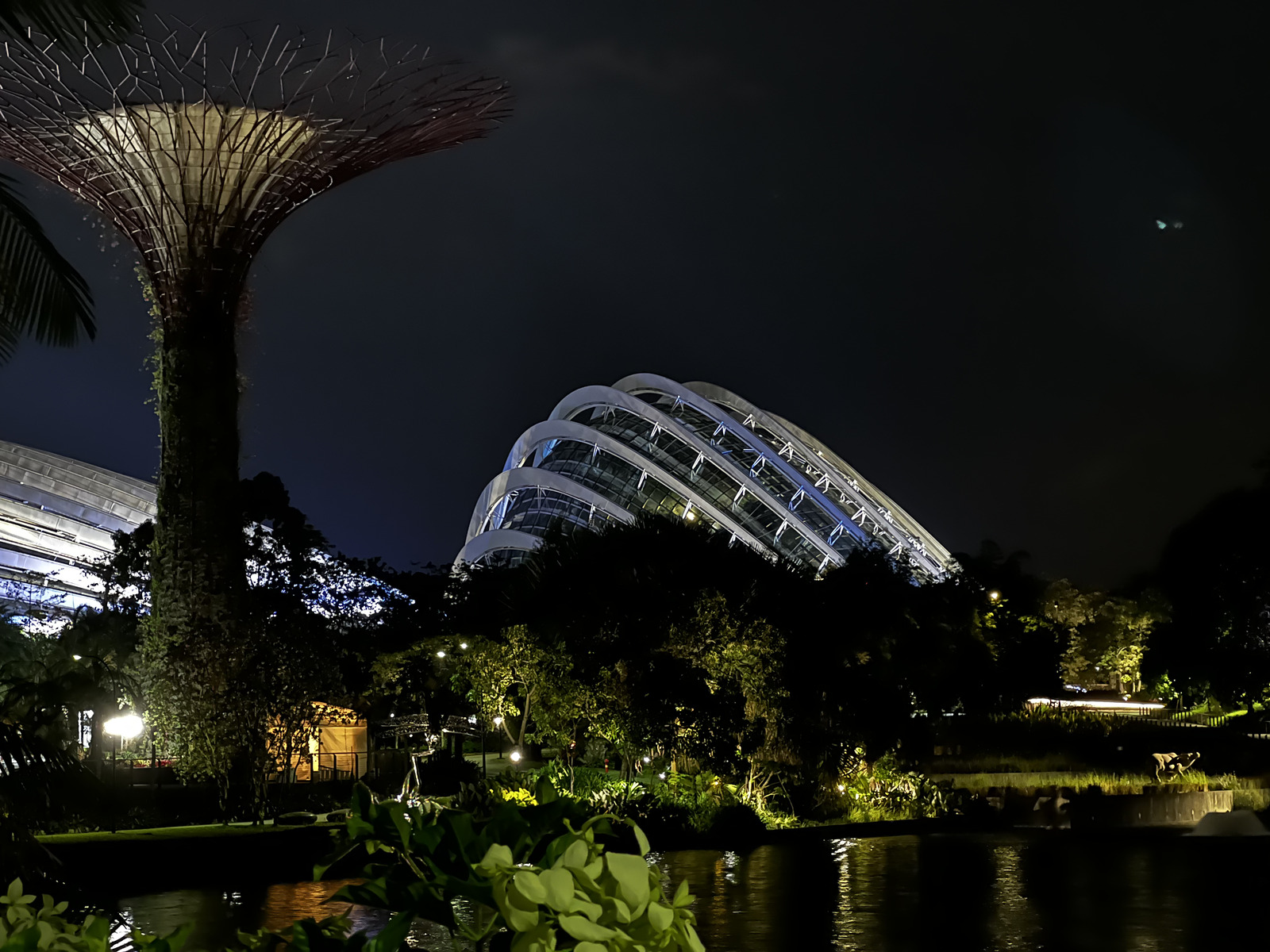 Photo Singapour Garden by the bay 2023-01 19