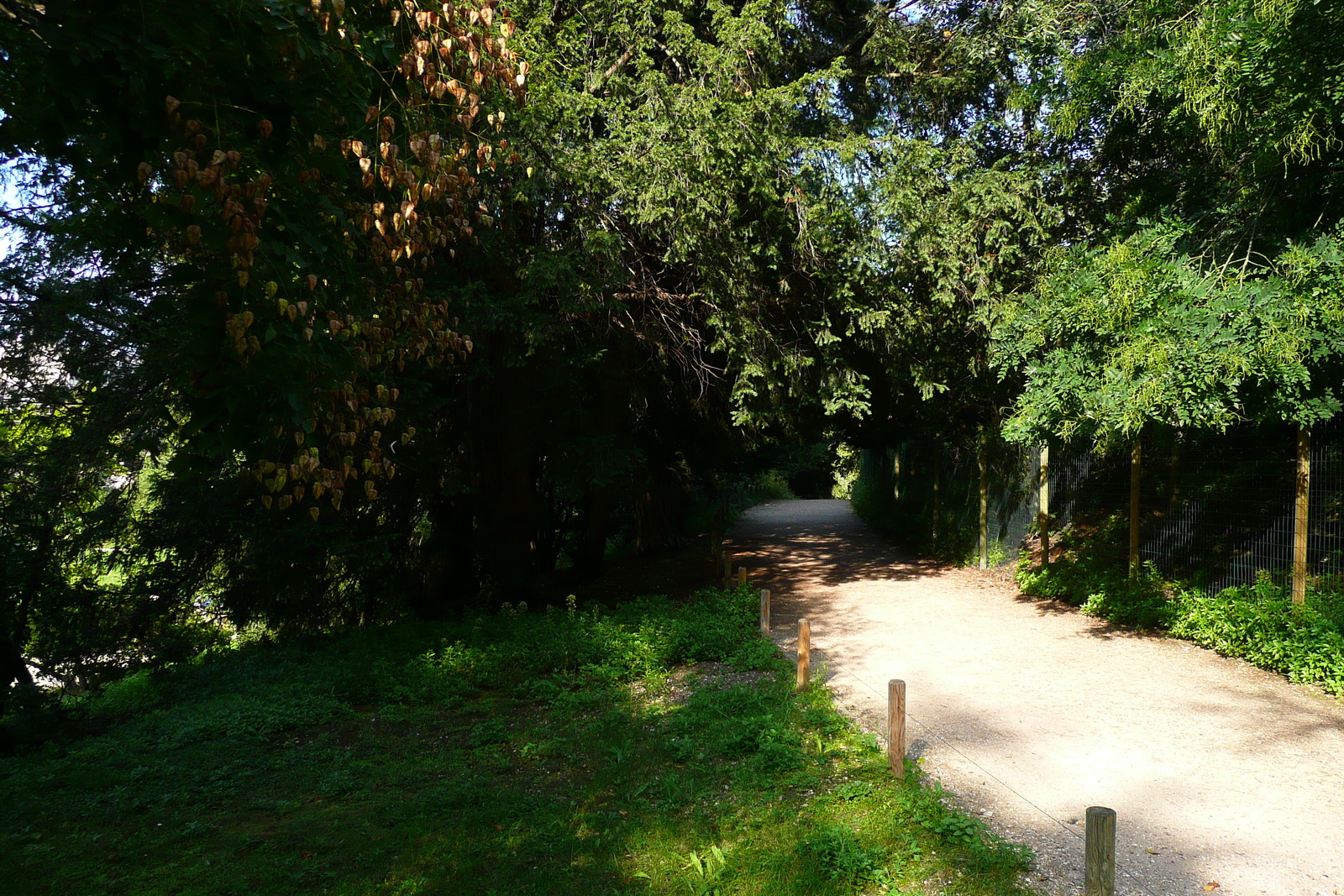 Photo France Paris Jardin des Plantes 2007-08 135