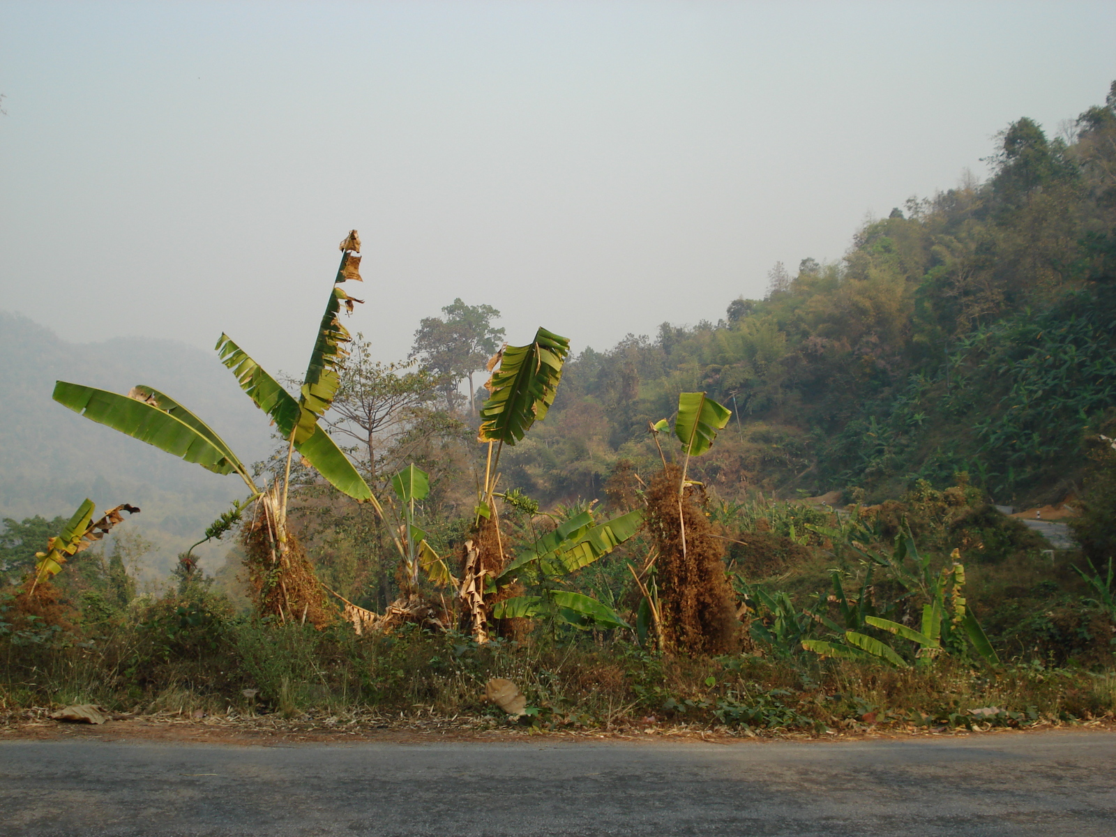 Photo Thaïlande Route de Chiang Mai à Pai 2007-02 19