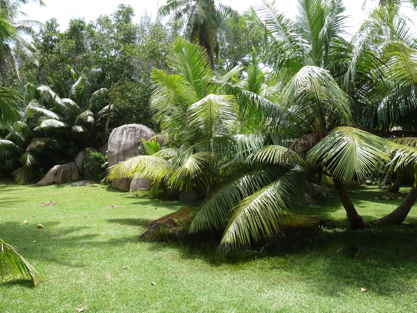 Photo Seychelles Grande Soeur 2011-10 100
