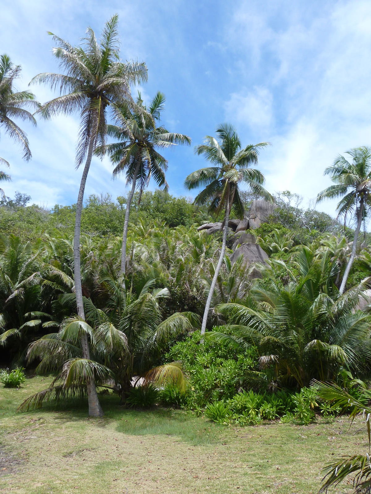 Photo Seychelles Grande Soeur 2011-10 5