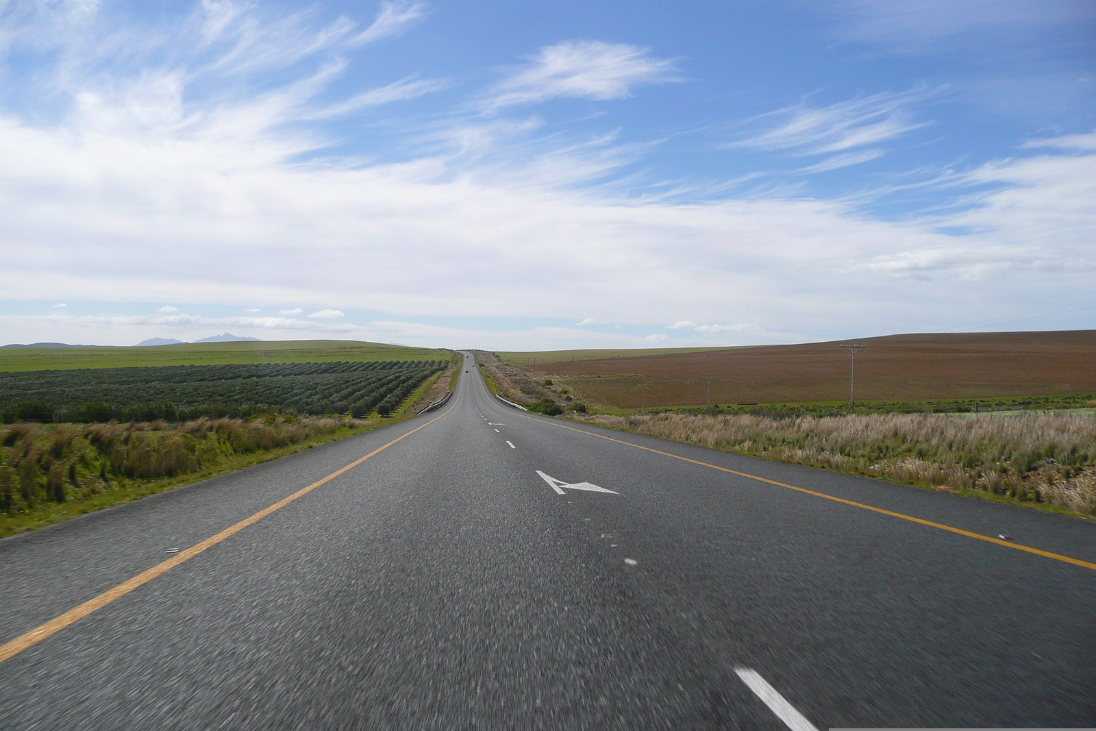 Photo Afrique du Sud Route de Harmanus à Knysna 2008-09 73