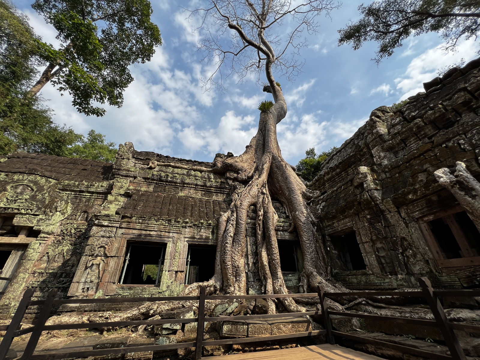 Photo Cambodge Siem Reap Ta Prohm 2023-01 104