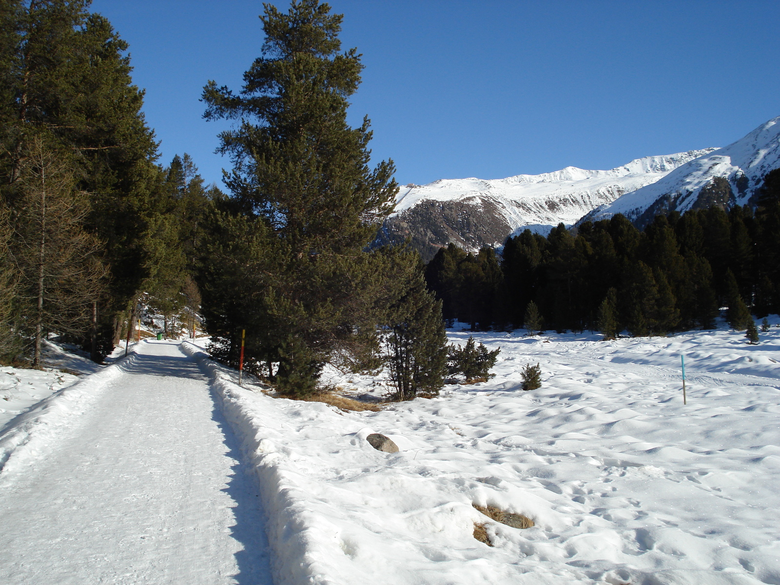 Photo Suisse Saint Moritz Schlarigna 2007-01 26
