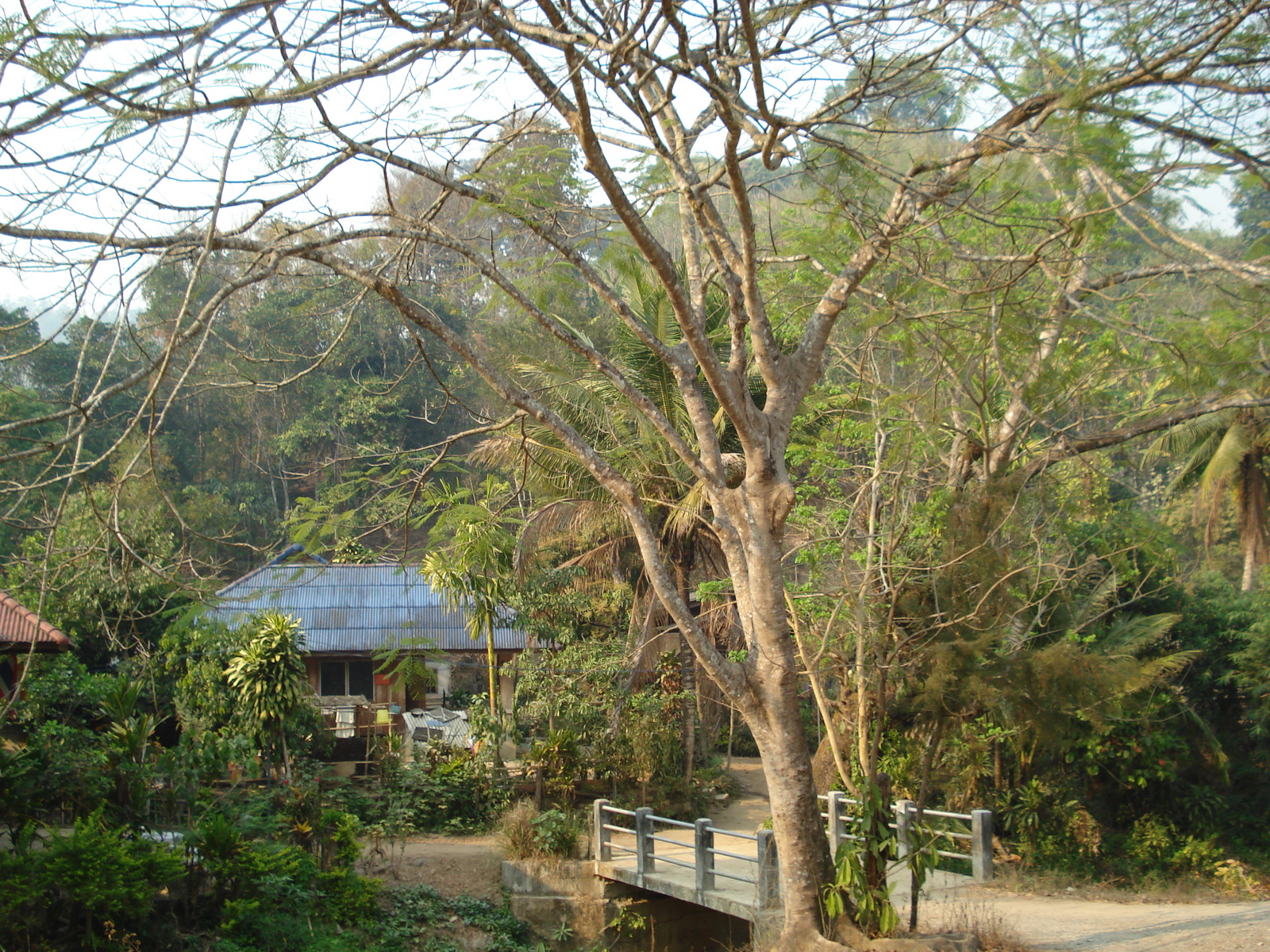 Photo Thaïlande Route de Chiang Mai à Pai 2007-02 151