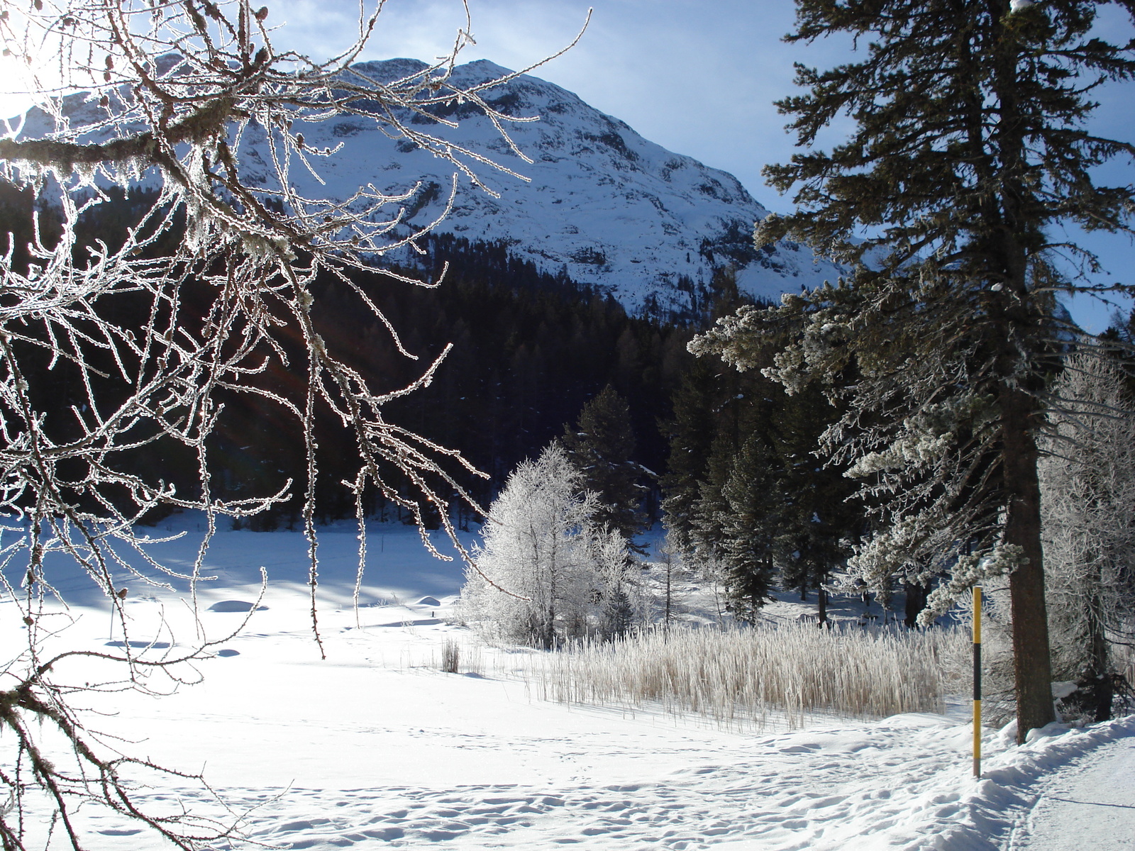 Photo Suisse Saint Moritz Schlarigna 2007-01 6