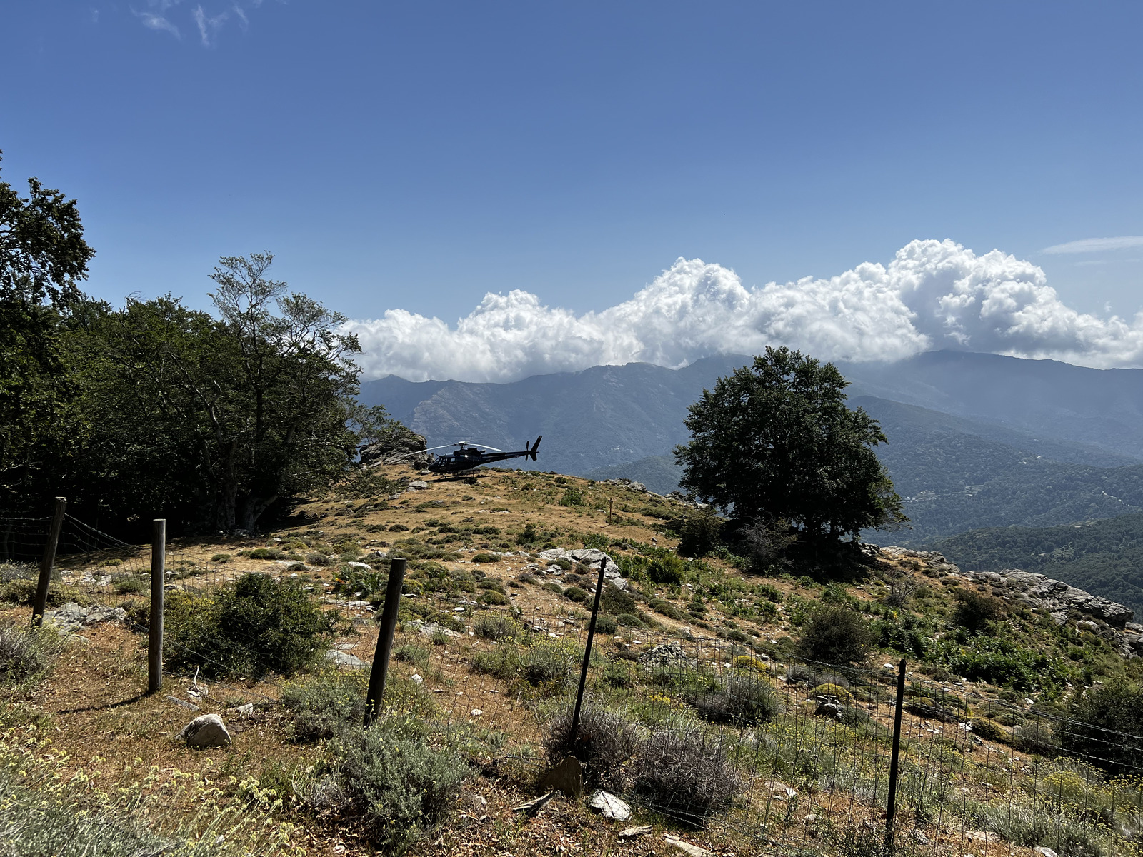 Photo France Corse Refuge de Callerucciu 2022-06 43